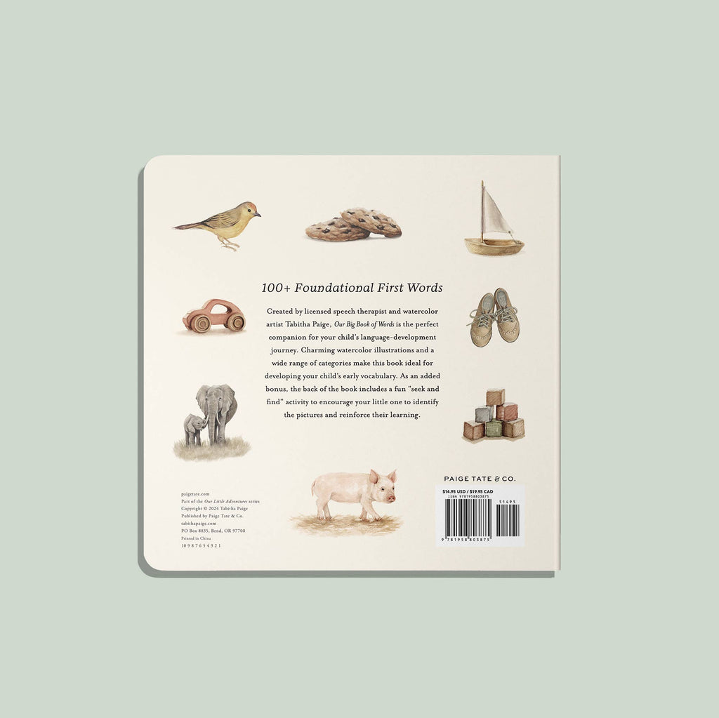 Our Big Book of First Words (Board Book)
