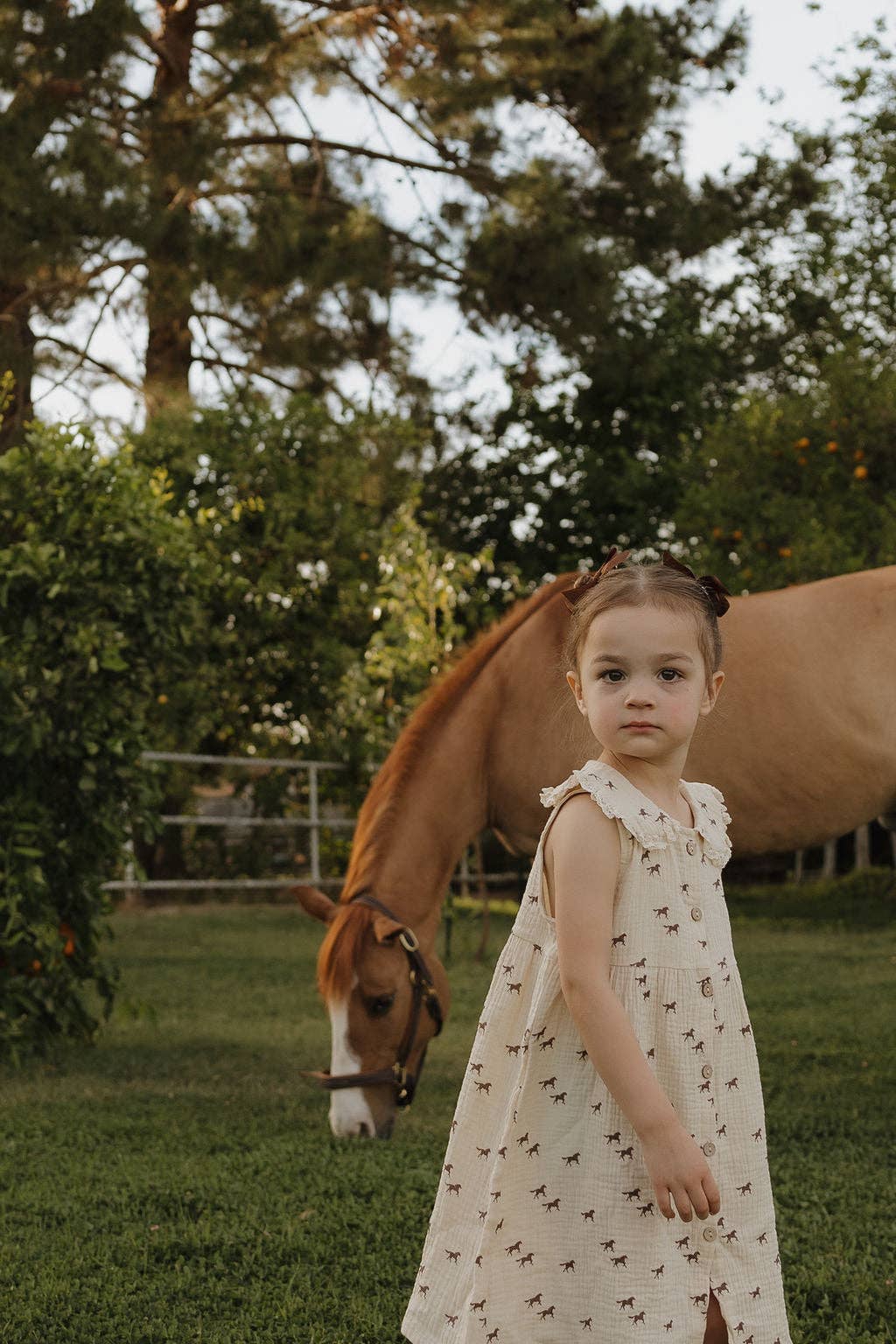 Wild Horses Muslin Dress